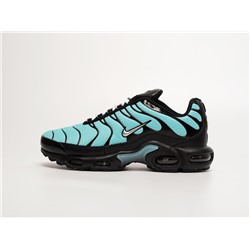 Кроссовки Nike Air Max Plus TN