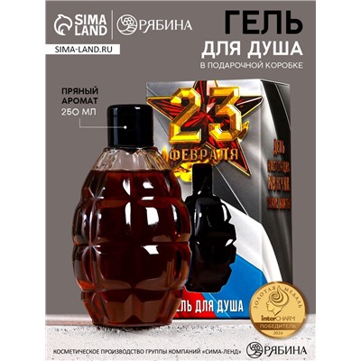 Гель для душа мужской «С 23 Февраля», 250 мл, пряный аромат, HARD LINE