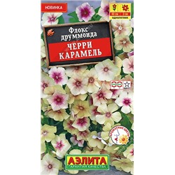 Флокс Черри карамель (Код: 89562)