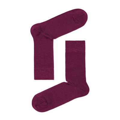 Брестские Носки мужские 2122 CLASSIC