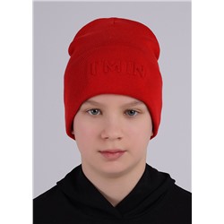 CLEVER Шапка