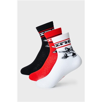 Носки трикотажные для мальчиков, 3 пары в комплекте PLAYTODAY, 1239789