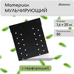 Материал мульчирующий, с перфорацией (4 ряда), 20×1.6 м, плотность 80 г/м², спанбонд с УФ-стабилизатором, чёрный, Greengo, Эконом 30%