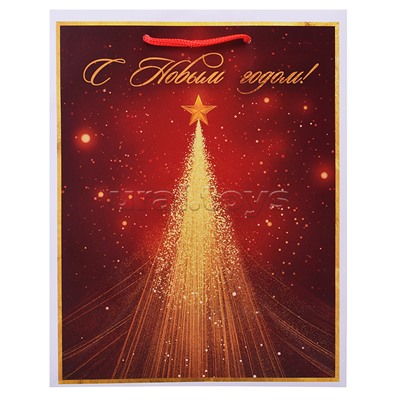 Бумажный пакет для сувенирной продукции с ламинацией,с шириной основания 17,8 cм.