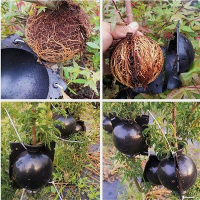 Шар для укоренения растений, d=11.5 см, под ветку 1.6 см, чёрный, Greengo