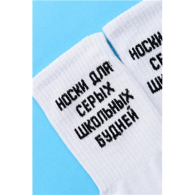 Носки мужские Школьные будни (набор 2 пары) (Белый)