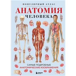 Эксмо "Анатомия человека. Популярный атлас. Самые подробные анатомические изображения"