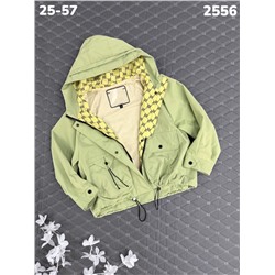 Ветровка 2556 зелёный