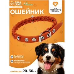 Ошейник, 1.2×36 см, ОШ 20-30 см, плетёный, кожа, оранжевый