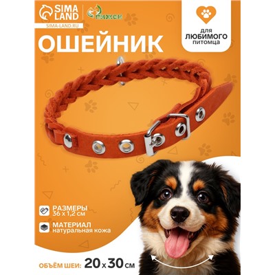 Ошейник, 1.2×36 см, ОШ 20-30 см, плетёный, кожа, оранжевый