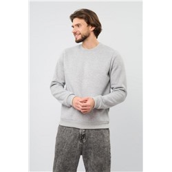 Толстовка мужская Бронд Е Арт. 10229