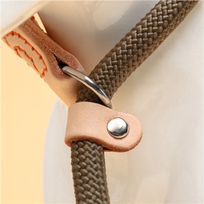 Ринговка для собак, 150×1 см, бежевая