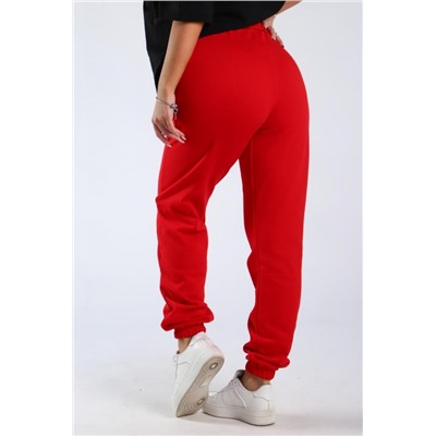 Брюки футер двухнитка с тонким начесом Арт. 1009 (Красный)