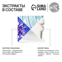 Шампунь для волос с белой глиной и экстрактом василька, восстановление, 300 мл, ECO LAB by URAL LAB