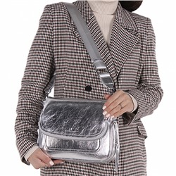 Сумка 8305-1CD silver Alex&Mia