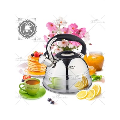 ZEIDAN Чайник Z-4156