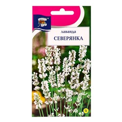 Семена цветов Лаванда СЕВЕРЯНКА  5 шт.