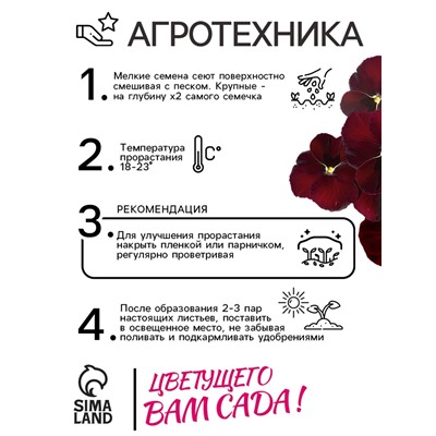 Семена Виола "Красное вино", 0,1 г