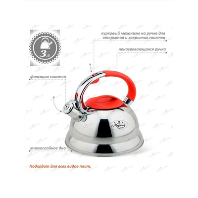 Merali Чайник ЧН-30-09