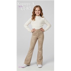 штаны 2053029-3