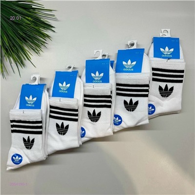 Носки женские 10 пар 2054190-1