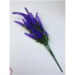 Лаванда 5, 35 см, декоративное растение