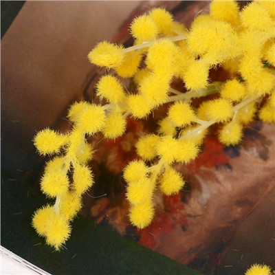 Цветы искусственные «Мимоза», h=65 см, жёлтые