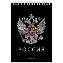 Блокнот на спирали А5 48л клетка "Россия" С0028-167 АппликА
