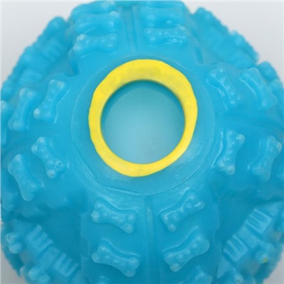 Квакающий мяч для собак, жёсткий, 7.5 см, голубой