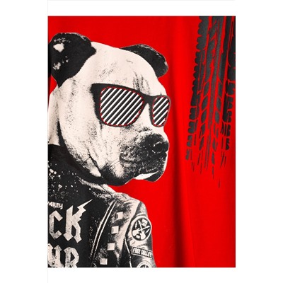 Фуфайка трикотажная для мальчиков (футболка) PLAYTODAY, 1243134