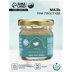 Мазь при простуде, ангине, отите, гайморите, GoryStepy, 30 мл