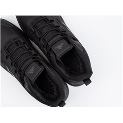 Зимние Кроссовки Adidas Terrex Trailmaker Mid