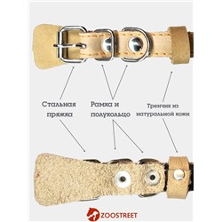 Ошейник, 35×1.5 см, подклад из ватина, кожа, бежевый