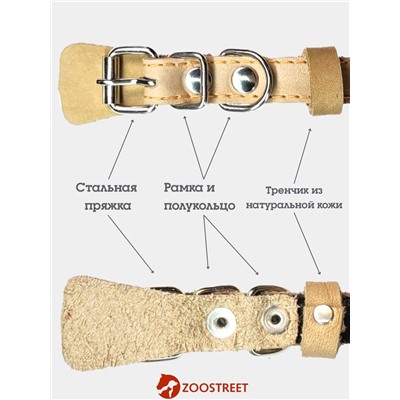 Ошейник, 35×1.5 см, подклад из ватина, кожа, бежевый
