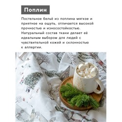 Постельное бельё дуэт «Этель» Winter countryside, поплин