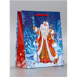 Пакет подарочный новогодний ламинированный, «Новогодний набор », 18×10×22.3 см