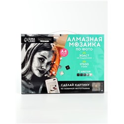 Алмазная мозаика по фото с полным заполнением «Gray», на холсте с подрамником, А4