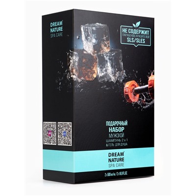 УЦЕНКА Подарочный набор мужской DREAM NATURE SPA CARE «Сила льда»: шампунь 2 в 1 и гель для душа