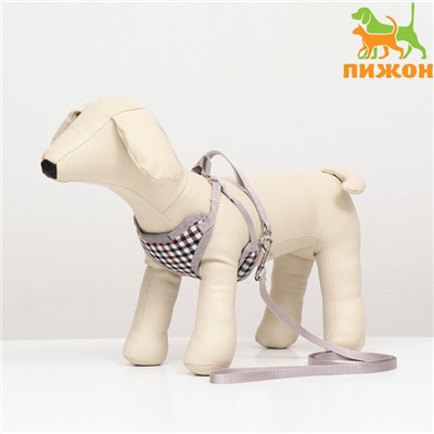 Комплект амуниции с мягкой шлейкой, поводок 120×1 см, ОГ 34-58 см, синяя клетка