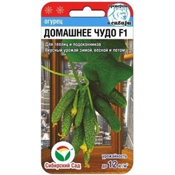 Огурец Домашнее Чудо F1 Сиб.Сад