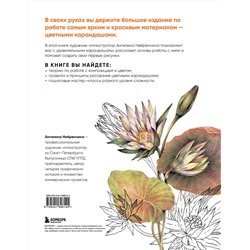 Эксмо Ангелина Небренчина "Большая книга цветных карандашей. Полное руководство по работе с нуля"