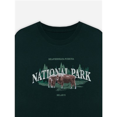 ФУТБОЛКА МУЖСКАЯ 111900