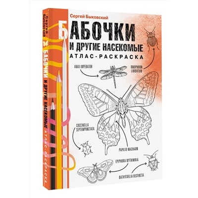 АСТ Сергей Быковский "Бабочки и другие насекомые. Атлас-раскраска"