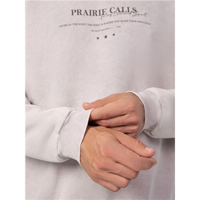 СВИТШОТ МУЖСКОЙ 121801/1