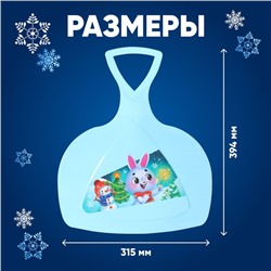 Ледянка «Новогодний заяц»