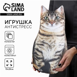 Игрушка-антистресс «Котик»