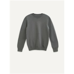 Джемперы ESLI Джемпер для мальчика 24С-13СП