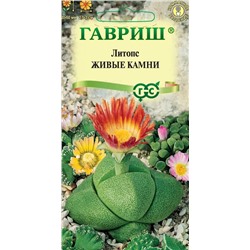 Литопс Живые камни (Гавр)