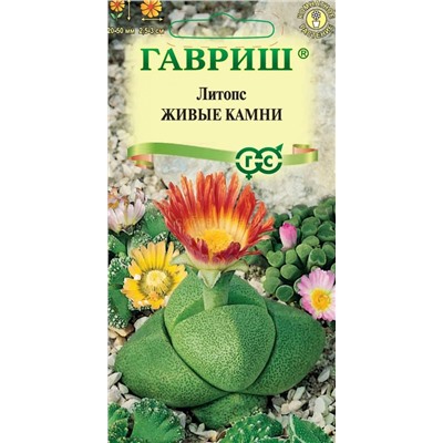 Литопс Живые камни (Гавр)
