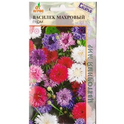 Василек Махровый Гном   (Код: 78293)